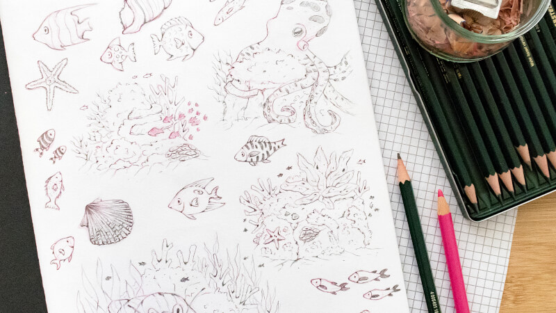 Bleistiftzeichnungen von Fischen, Muscheln und Oktopus