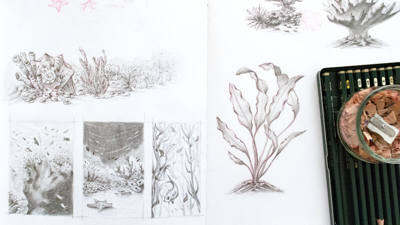 Bleistiftzeichnungen von Korallen und Pflanzen